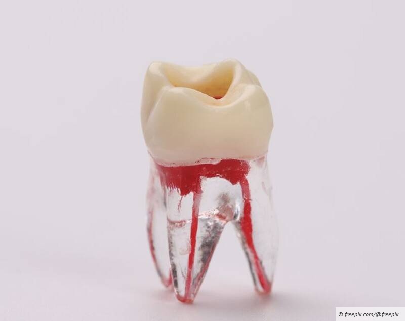 Endodontische Behandlungen richtig abrechnen